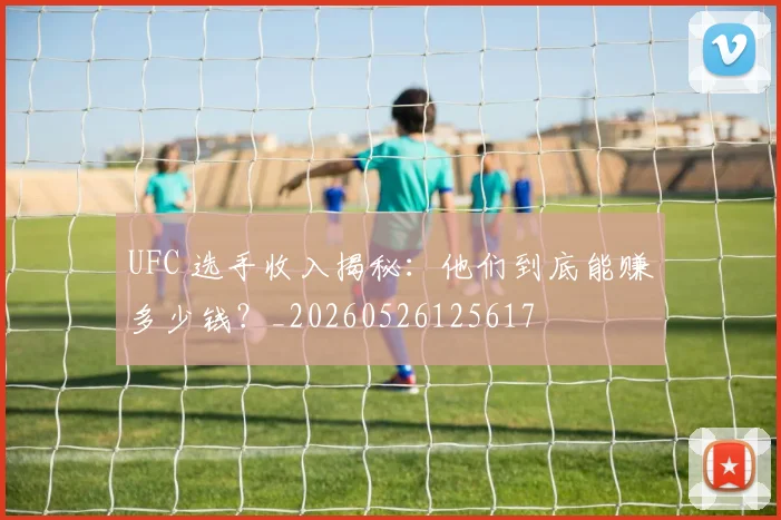 UFC 选手收入揭秘：他们到底能赚多少钱？_20260526125617