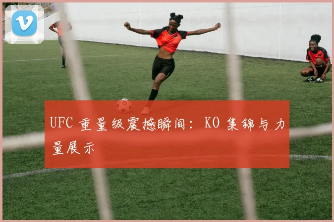 UFC 重量级震撼瞬间：KO 集锦与力量展示