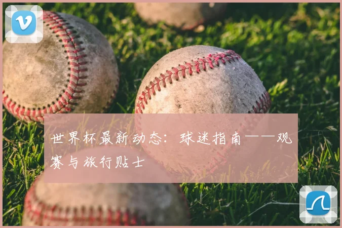 世界杯最新动态：球迷指南——观赛与旅行贴士