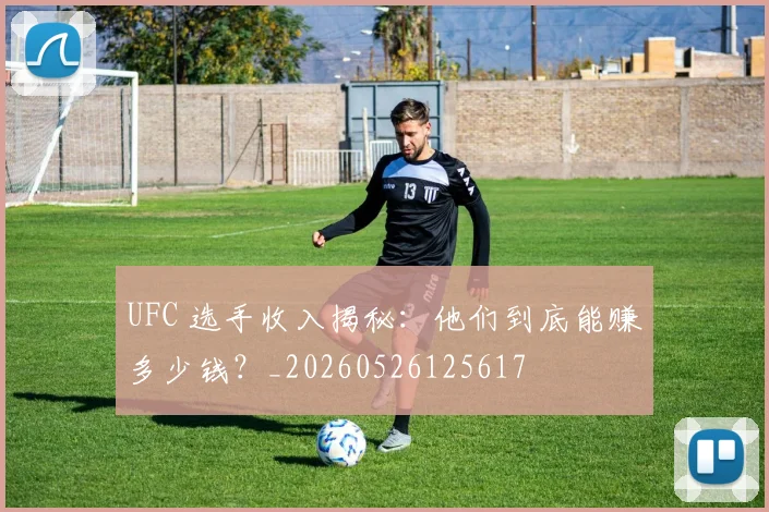 UFC 选手收入揭秘：他们到底能赚多少钱？_20260526125617